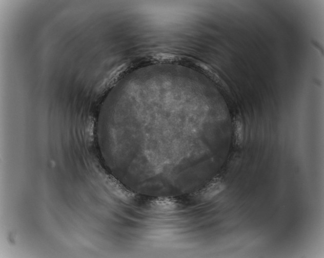 X0000099410668200805231606