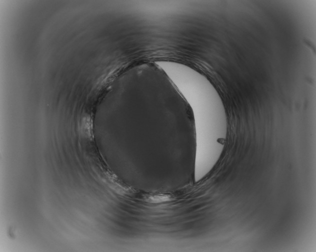 X0000099410669200805231606