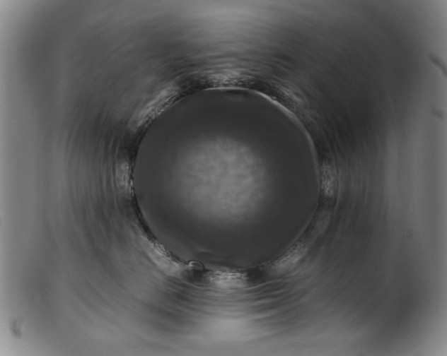 X0000099410670200805231606