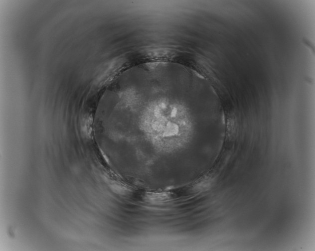 X0000099410671200805231606