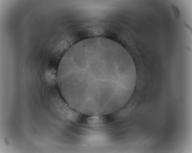 X0000099410672200805231606