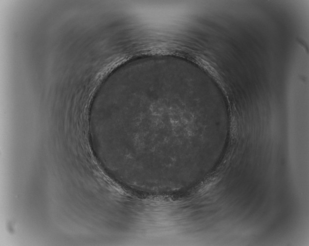 X0000099410673200805231605