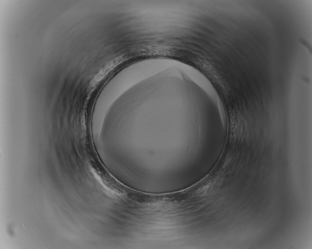 X0000099410674200805231605