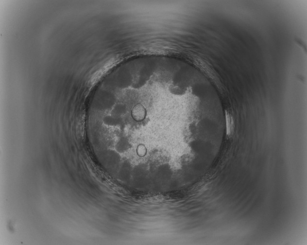 X0000099410675200805231605