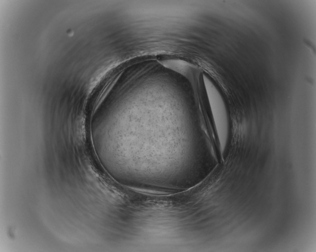 X0000099410676200805231605