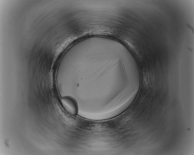 X0000099410678200805231605