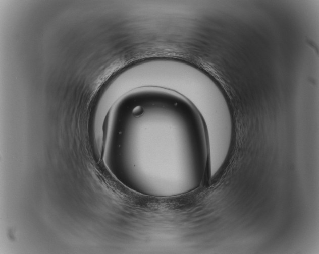 X0000099410679200805231605