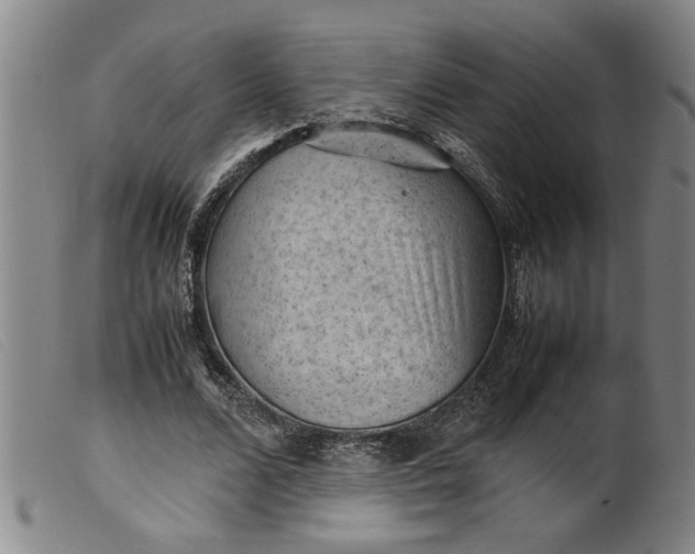 X0000099410680200805231605