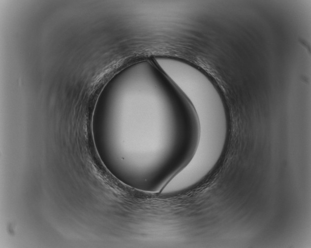 X0000099410681200805231605