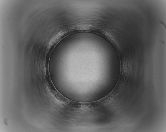 X0000099410682200805231605