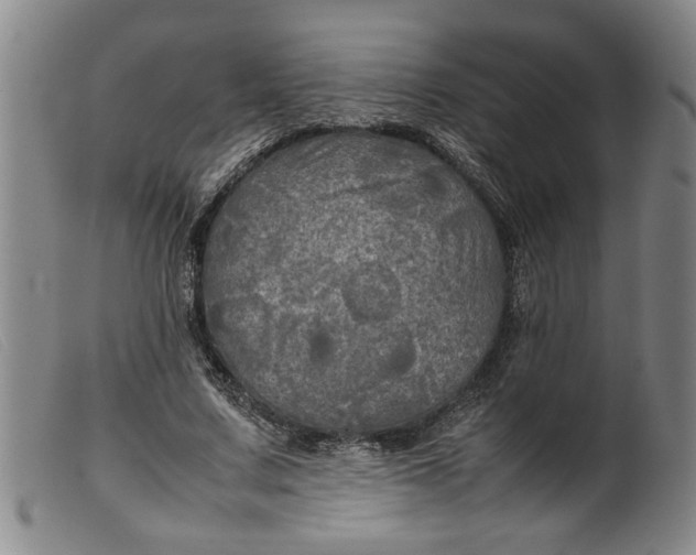 X0000099410683200805231605