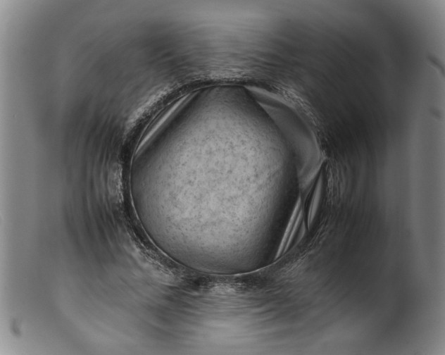 X0000099410684200805231605