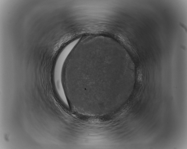 X0000099410685200805231605