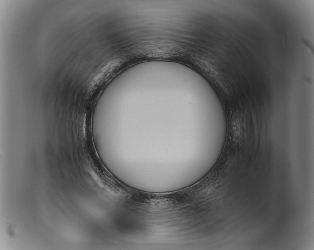 X0000099410686200805231605