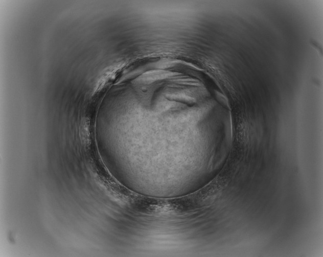 X0000099410688200805231605