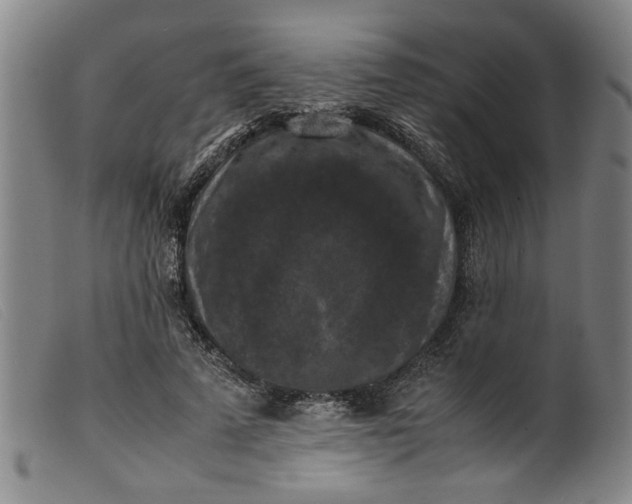 X0000099410689200805231605