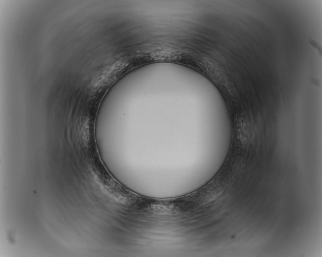 X0000099410690200805231605