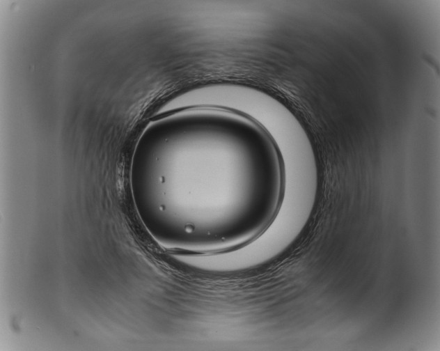 X0000099410691200805231605