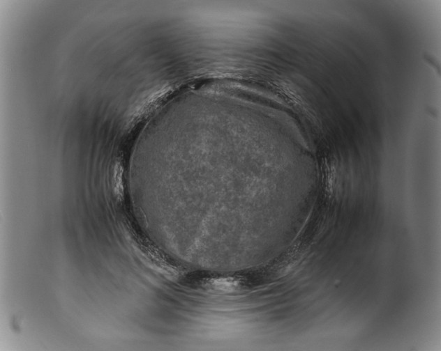 X0000099410692200805231605