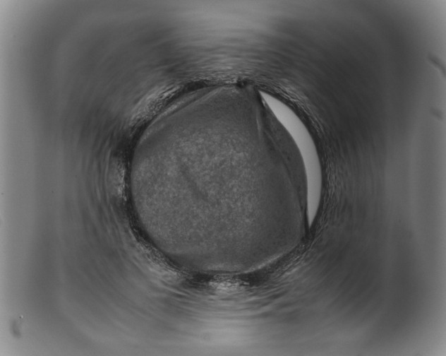 X0000099410693200805231605