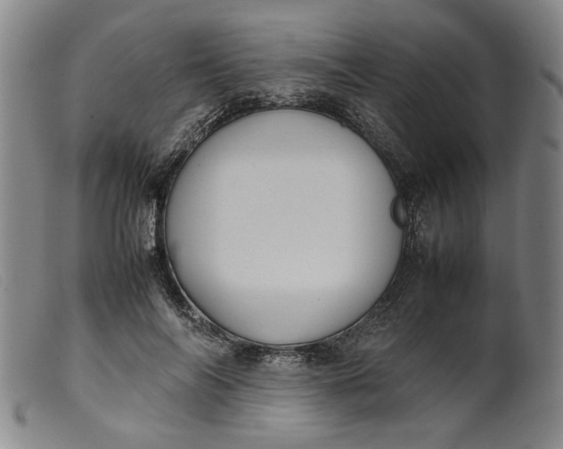 X0000099410694200805231605