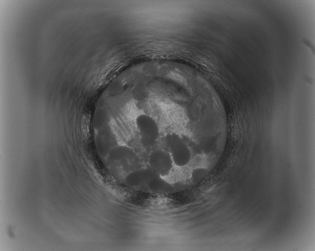 X0000099410695200805231605