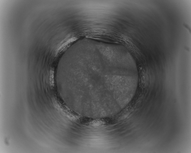 X0000099410696200805231605