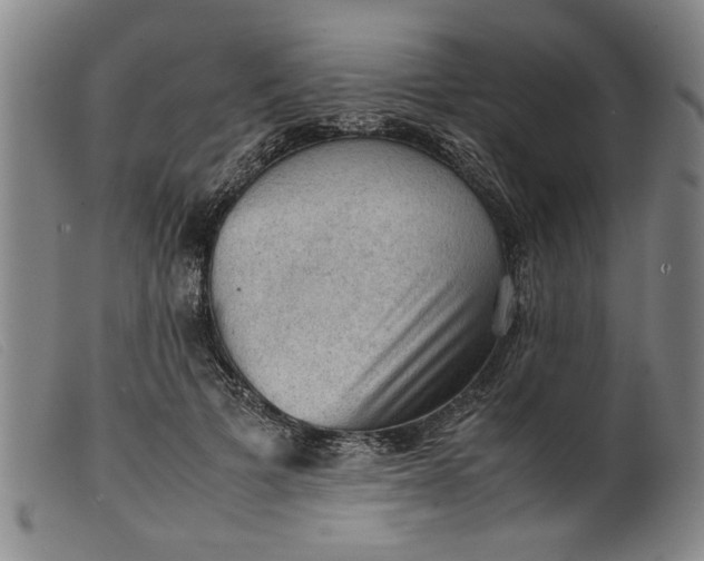 X0000099410697200805231605