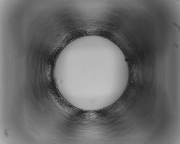 X0000099410698200805231605