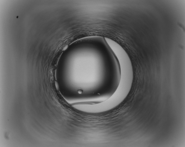 X0000099410699200805231605