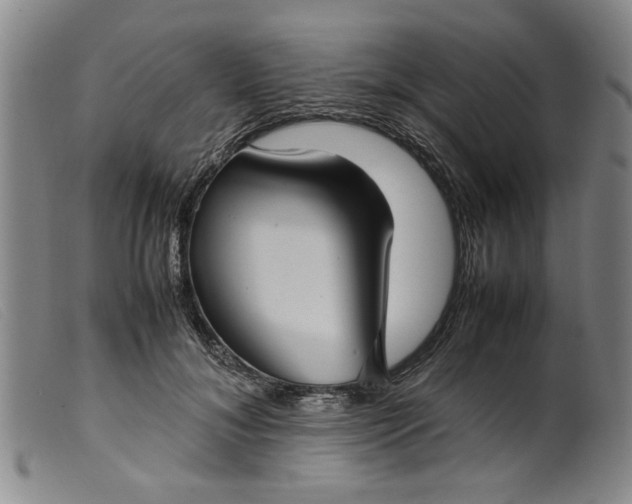 X0000099410700200805231605