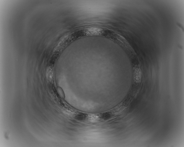 X0000099410701200805231605