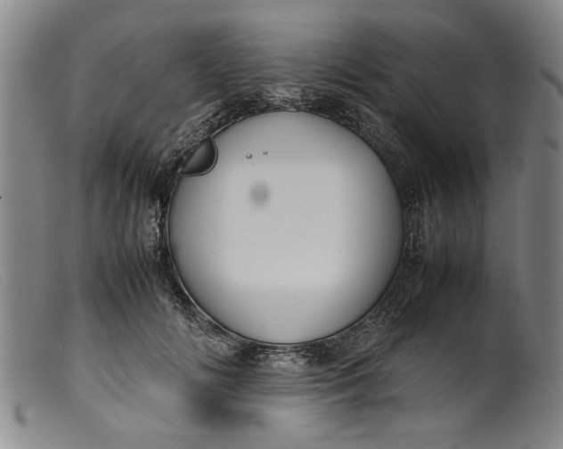 X0000099410702200805231605