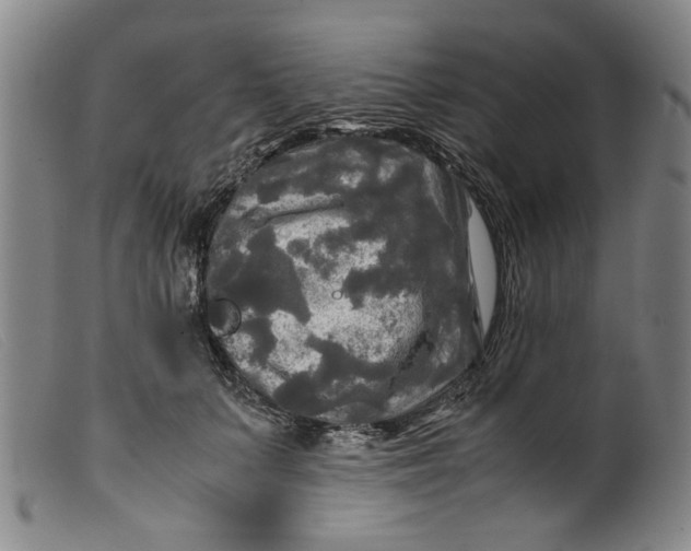 X0000099410703200805231605