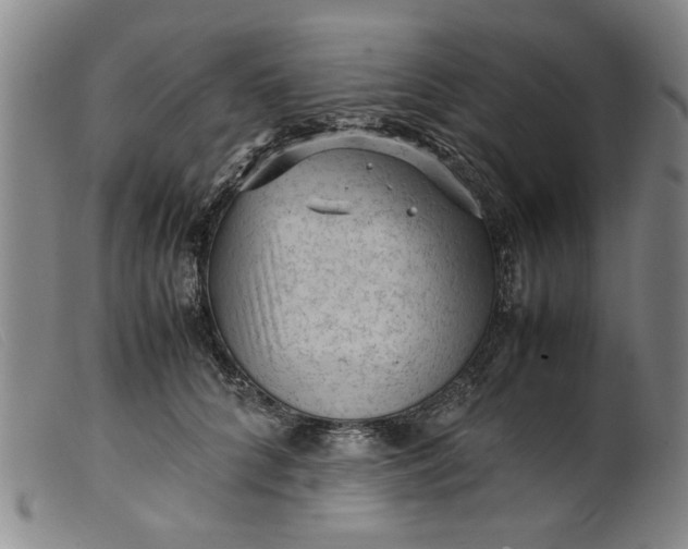 X0000099410704200805231605