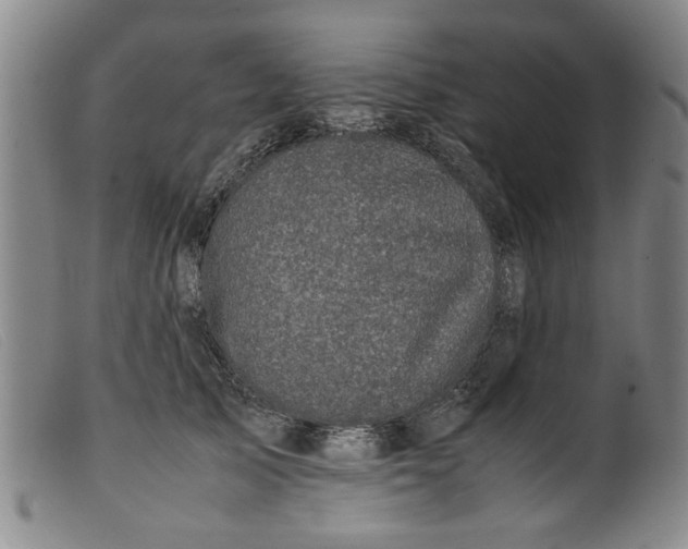 X0000099410705200805231605