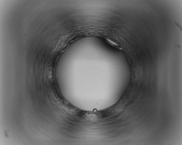 X0000099410706200805231605