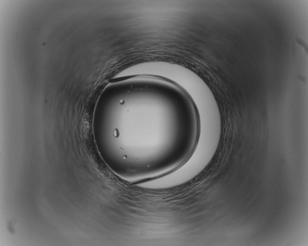 X0000099410707200805231604