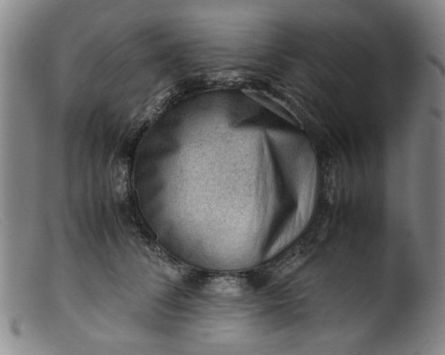 X0000099410708200805231604