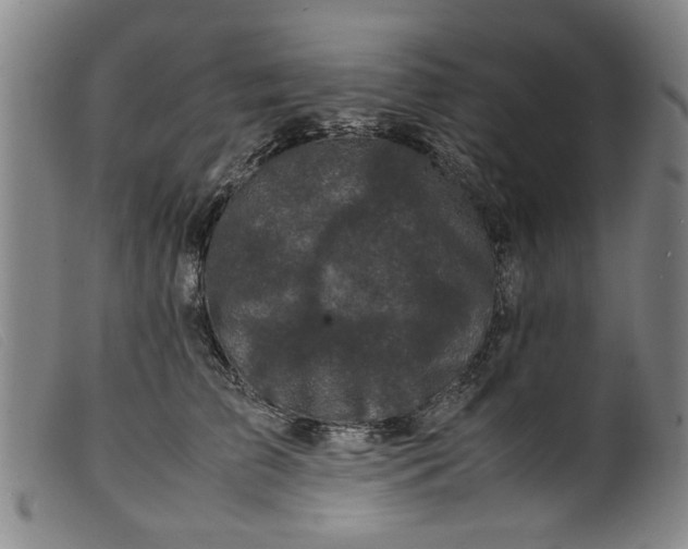 X0000099410709200805231604