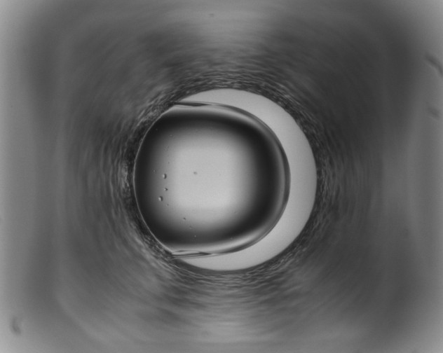 X0000099410711200805231604