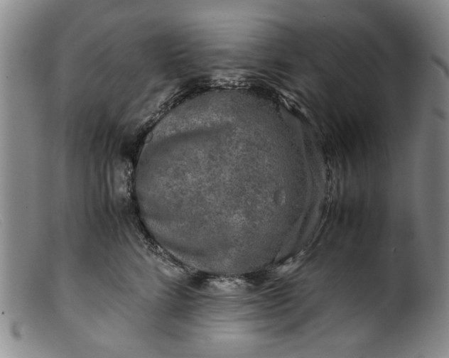 X0000099410712200805231604