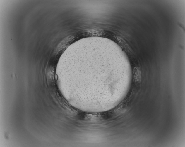 X0000099410713200805231604