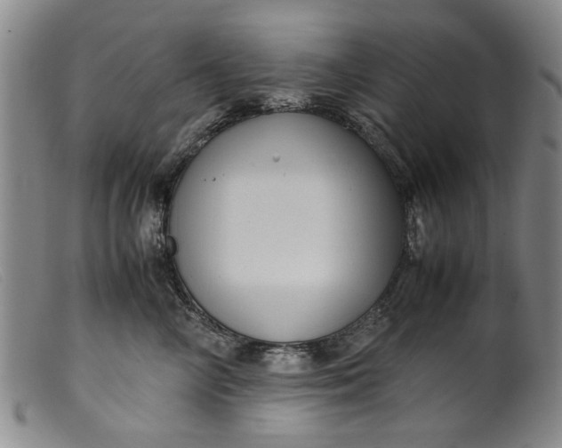 X0000099410714200805231604