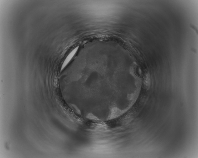 X0000099410715200805231604