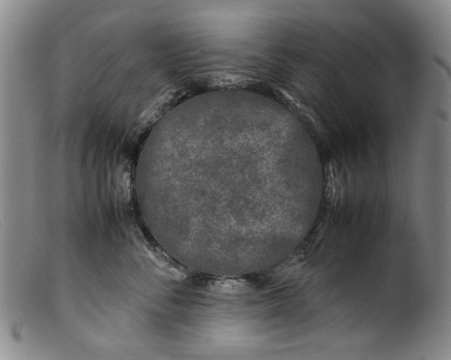 X0000099410716200805231604