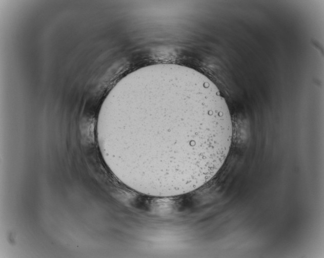 X0000099410717200805231604