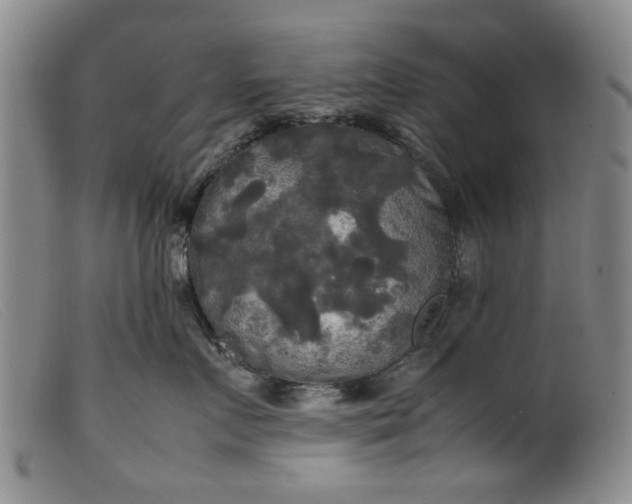 X0000099410719200805231604