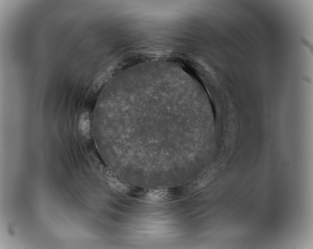 X0000099410720200805231604