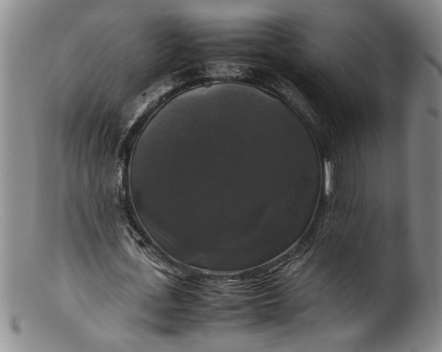 X0000099410723200805231603